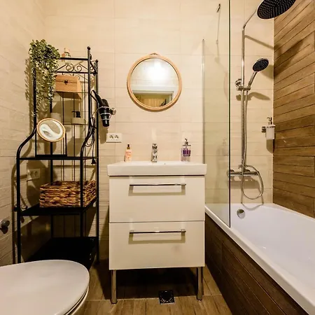Apartment Bega Studio Timisoara