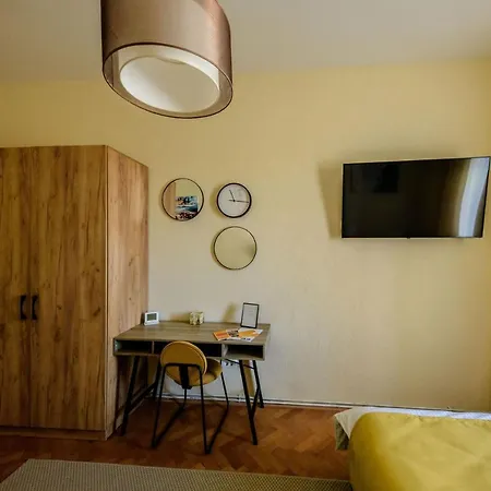 Bega Studio Timisoara